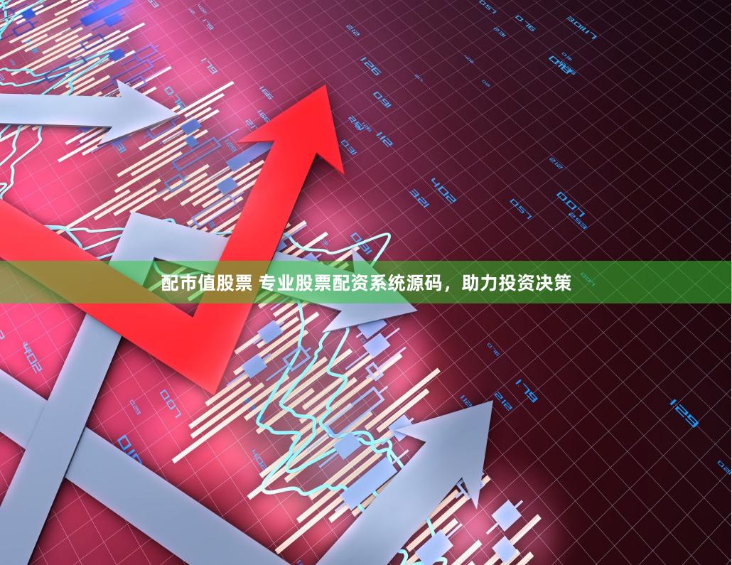 配市值股票 专业股票配资系统源码，助力投资决策